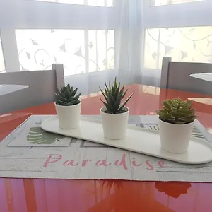 apartment-pitaya.in-canary-islands.com/